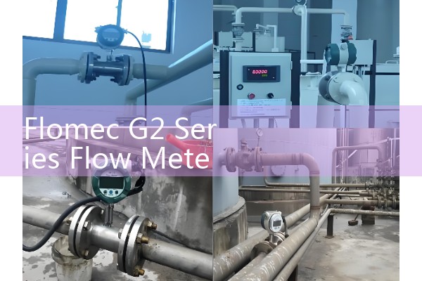 Flomec G2 Series Flow Meter Review: Industrial Turbine Sizing for Chemicals and Fuels