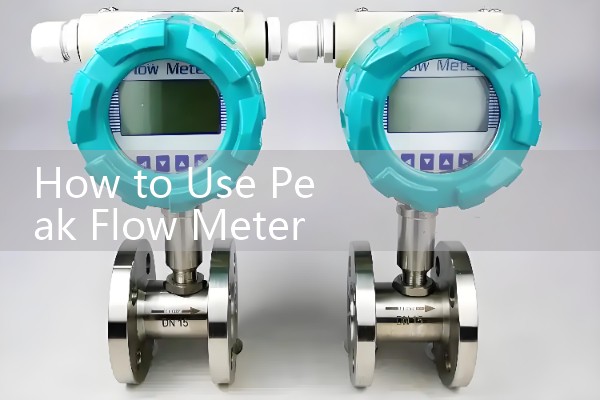 How to Use Peak Flow Meter for Asthma: Early Detection Strategies to Prevent Severe Exacerbations