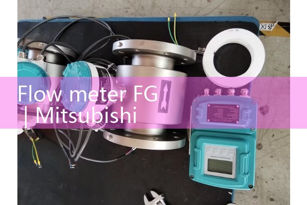 Flow meter FG