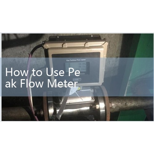 How to Use Peak Flow Meter for Asthma: Early Detection Strategies to Prevent Severe Exacerbations